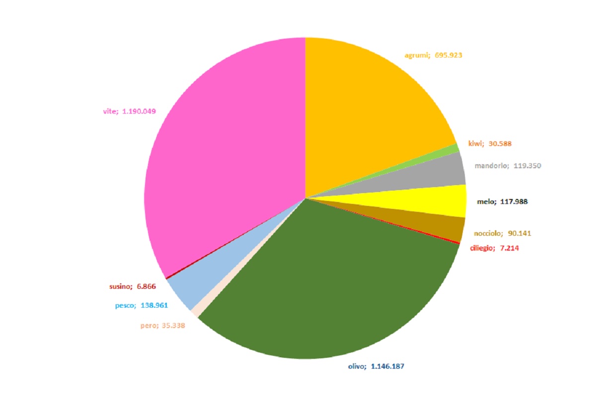 Quantità di ramaglie da operazioni di potatura (tonnellate SS/anno), per specie colturale (dati Anpa, elaborazioni grafiche dell'autore)